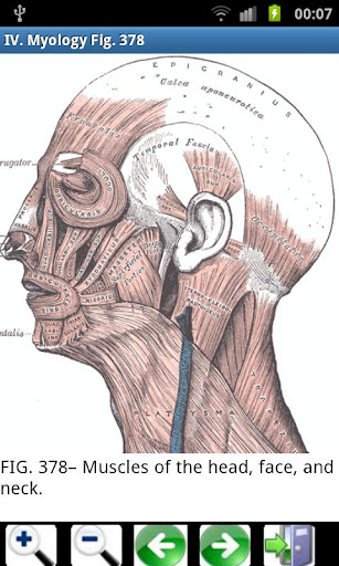3d虛擬人體解剖(Visual Anatomy) v4.1 安卓已付費完整版 3