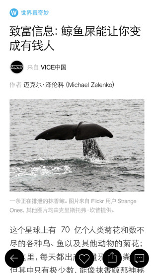 MONO貓弄ipad版 v3.5.0 蘋(píng)果ios版 1