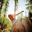 7天生存森林中文版