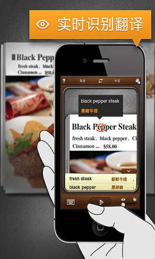 拍譯全能王(拍照翻譯) v2.4.0.20141231 安卓版_CamDictionary 0
