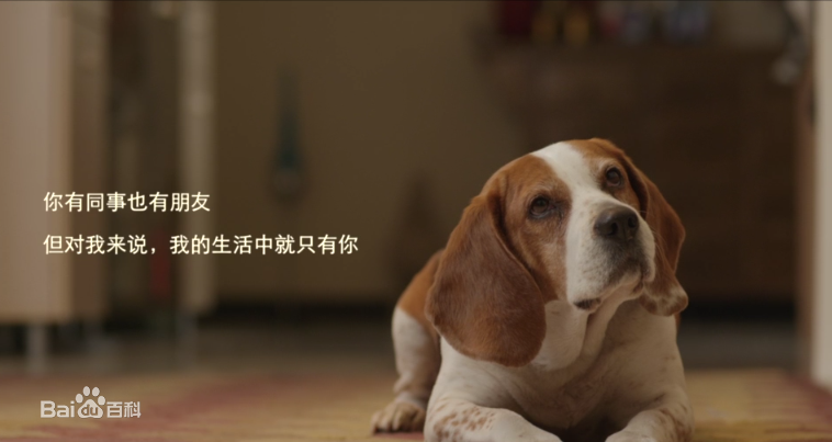 聞聞窩寵物社區(qū)電腦版 官方版_附電腦版安裝方法 0