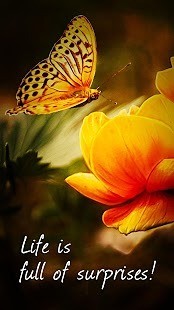 FX照片編輯器(PicsPlay) V3.6 安卓版 0