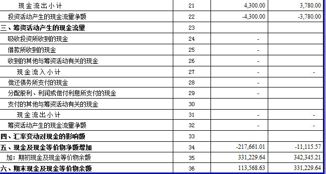 現(xiàn)金流量表自動生成模板 excel帶公式版 0