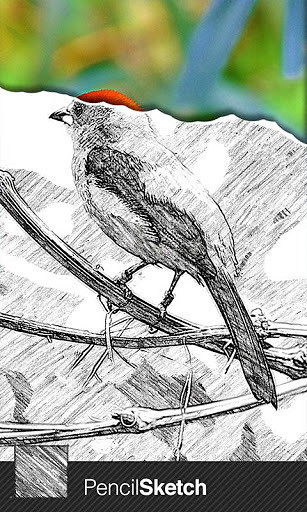 素描大師 v1.64 安卓版_SketchGuru 2