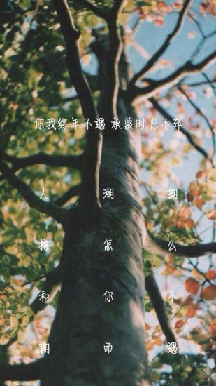 紋字鎖屏app v8.1.1 安卓最新版 2