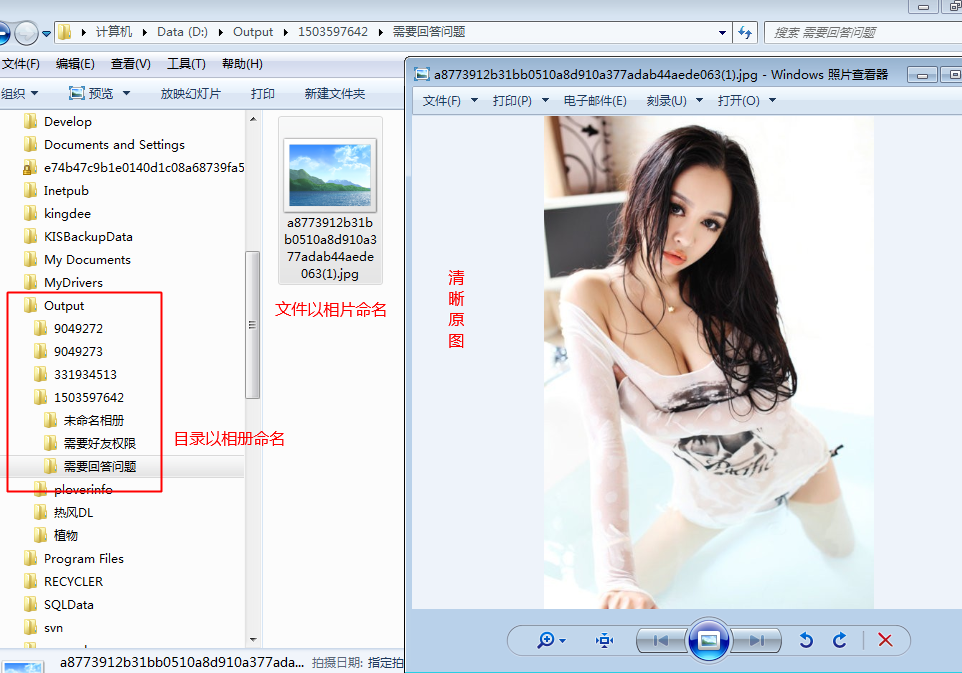 啄木鳥圖片下載器 v5.0.36.0 綠色免費(fèi)版 0