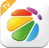 360電視助手TV版