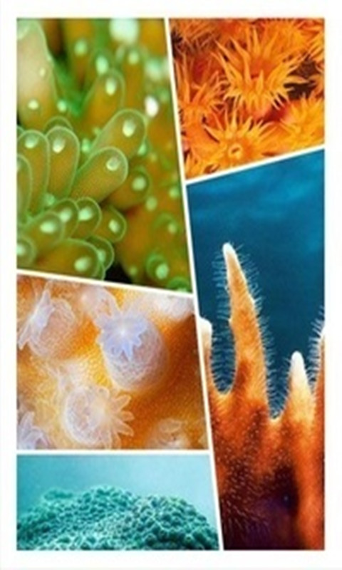 拼圖搖搖 v1.3.10 安卓版 0