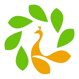 歡雀網(wǎng)交社保(歡雀小保)