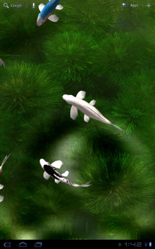 自由錦鯉動態(tài)壁紙下載