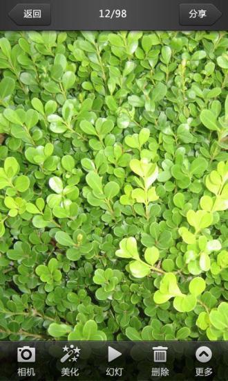 美圖看看 V0.9.1 安卓版_手機看圖軟件 0