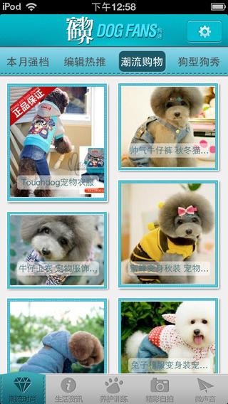 寵物世界狗迷 v1.0.5 安卓版 0