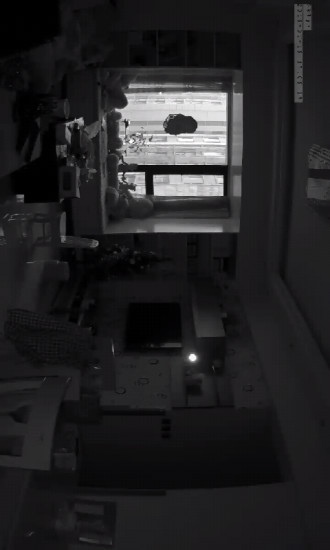 華邁千里眼客戶端(see1000) v2.9.9.5416 安卓版 1