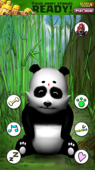 會說話的熊貓(Talking Panda Free) v1.8 安卓版 2