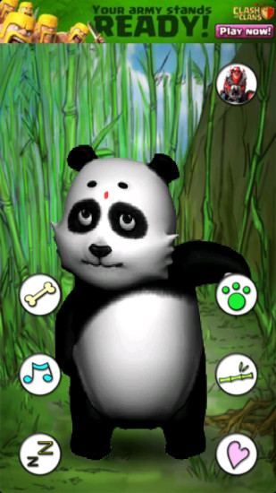 會說話的熊貓(Talking Panda Free) v1.8 安卓版 3