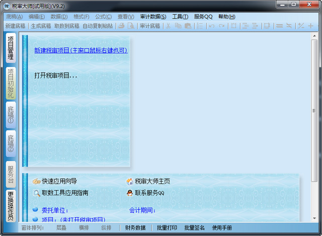 税审大师 税审大师v9