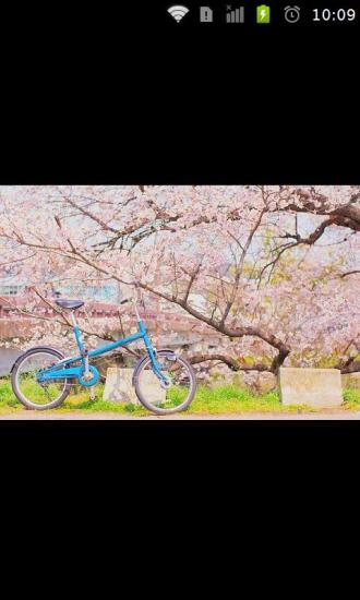 nice最美圖片 V1.18 安卓版 1