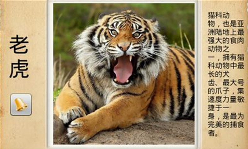 哆哆學(xué)習(xí)樂園 v6.3.6 安卓版 2