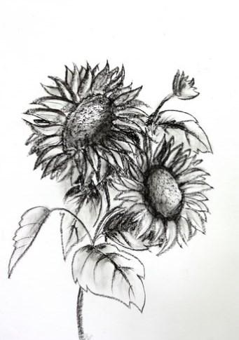 畫鉛筆素描手機(jī)版(Pencil Sketch Drawing) v1.0 安卓版 0