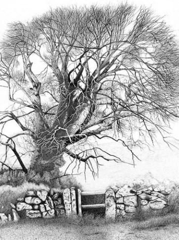 畫鉛筆素描手機(jī)版(Pencil Sketch Drawing) v1.0 安卓版 2