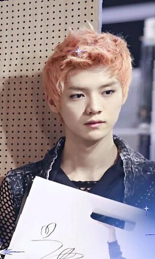 EXOM鹿晗相冊 v20130709 安卓版 0