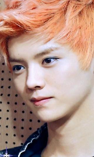 EXOM鹿晗相冊 v20130709 安卓版 2