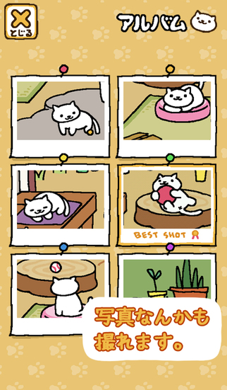 貓咪后院iPhone版 v1.4.0 蘋果手機版_附攻略 3