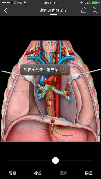 輕盈醫(yī)學(xué)iPhone版 v6.6.0 蘋果手機(jī)版 3