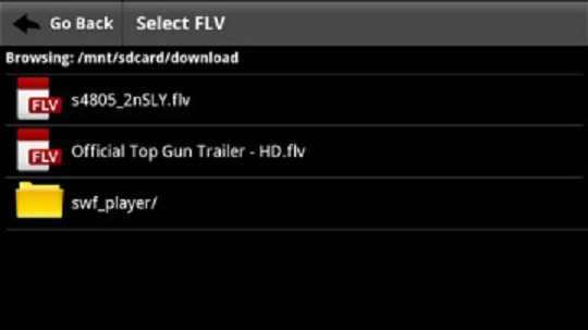 手機(jī)flv播放器(flv video player) v1.8.0 安卓版 0