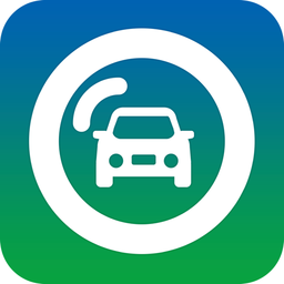 中國(guó)太平智定損