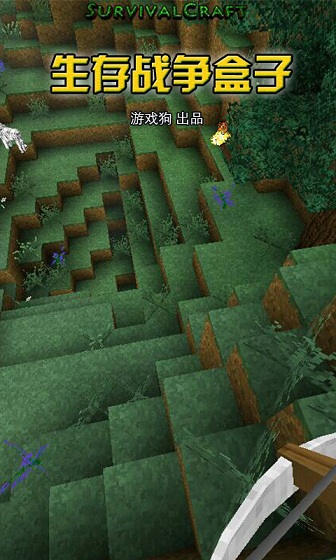 生存戰(zhàn)爭盒子手機(jī)版 v2.9.9 安卓版 0