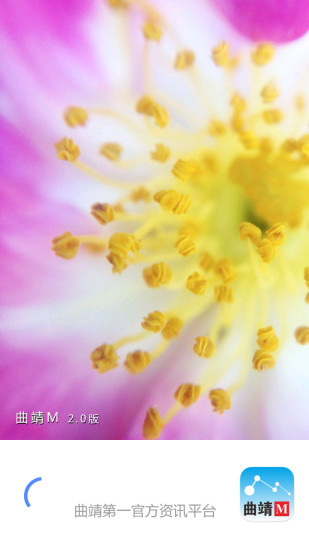 曲靖m電腦版 v4.0.5 官方pc版 2