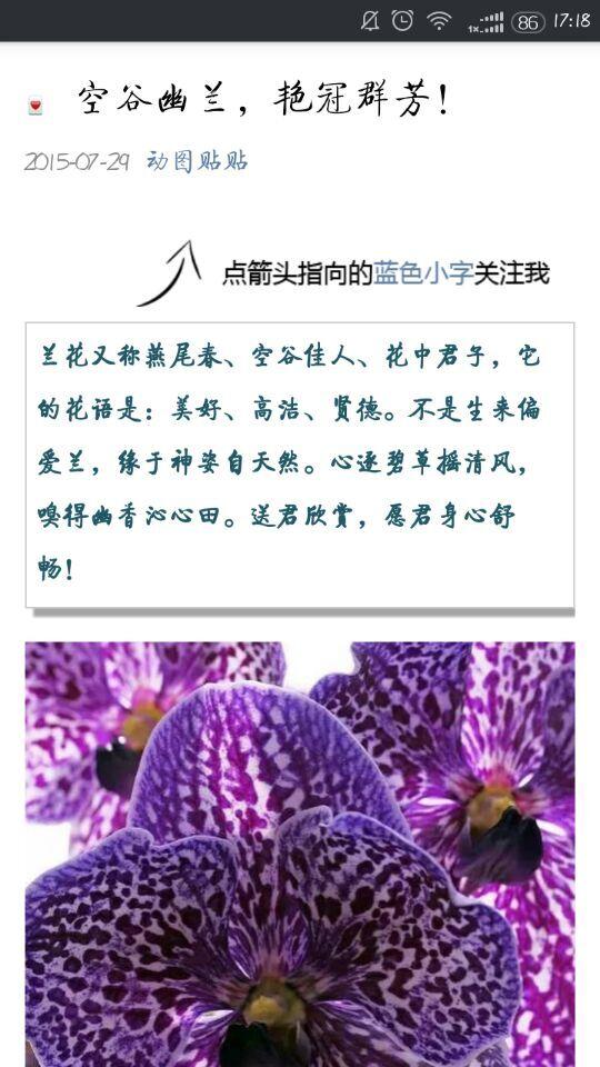 文藝閱讀 v1.0 安卓版 3