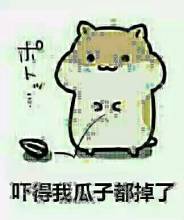 倉(cāng)鼠掉瓜子qq表情包
