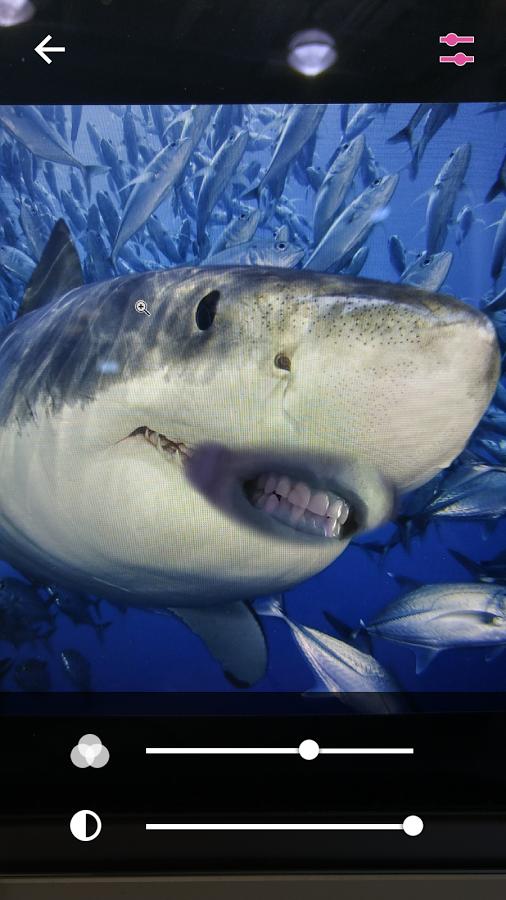 lip swap v1.0 安卓版 1