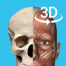 3d人體解剖學(xué)三維圖譜app