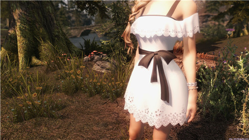 上古卷軸5天際夏日連衣裙mod  0