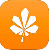 楓林小子播放器iPhone版