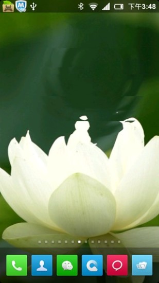 荷花動(dòng)態(tài)壁紙 V2.3 安卓版 0