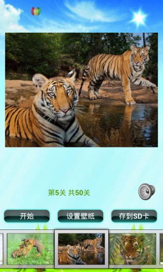 老虎拼圖兒童游戲 V1.1 安卓版 1