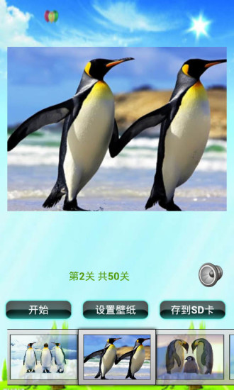 企鵝拼圖兒童益智游戲 v1.0 安卓版 0