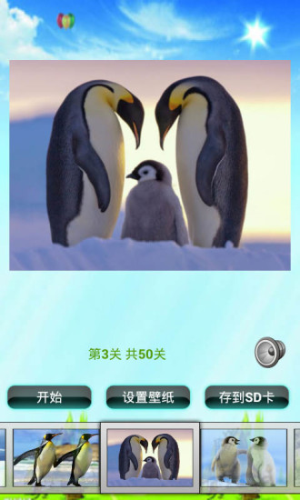 企鵝拼圖兒童益智游戲 v1.0 安卓版 1