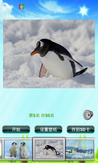 企鵝拼圖兒童益智游戲 v1.0 安卓版 2
