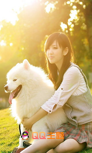 QQ主題管家積分修改版 v9.1 安卓版 2