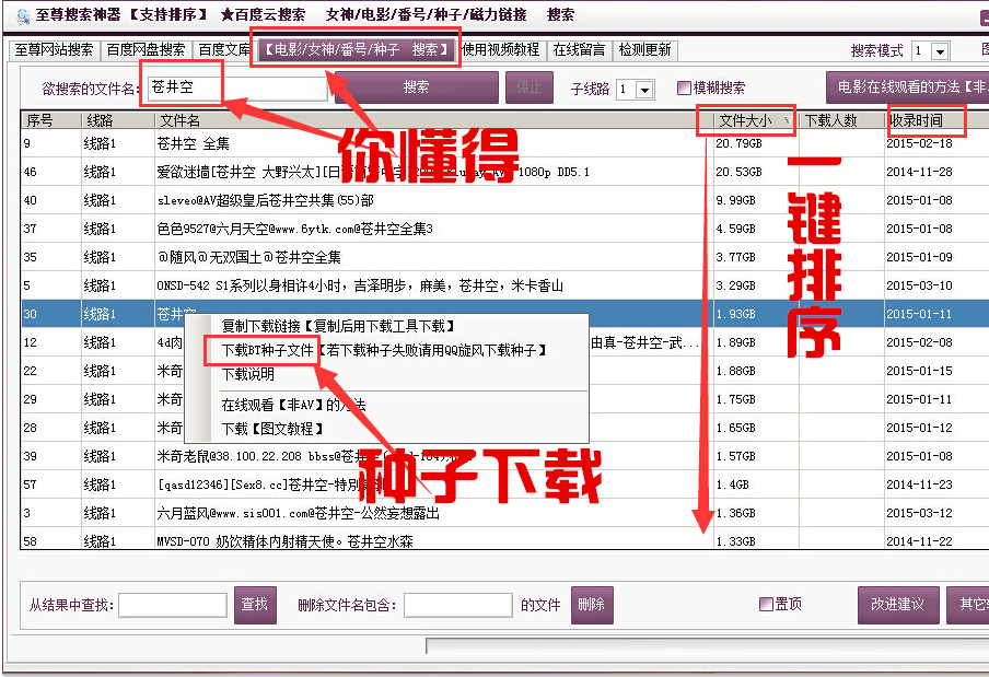 百度網(wǎng)盤搜索器