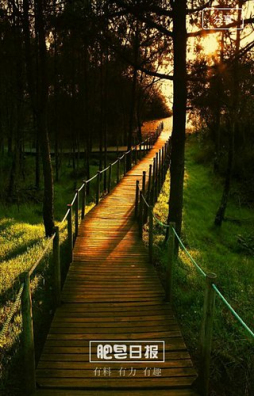 肥皂日報(趣味閱讀) v1.1 官網(wǎng)安卓版 1