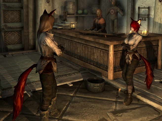 上古卷軸5天際公民終極整合包 v1.5 完美版 0