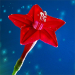 數(shù)學(xué)方程計(jì)算器