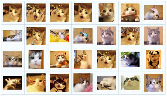 瓜皮貓qq表情包  0