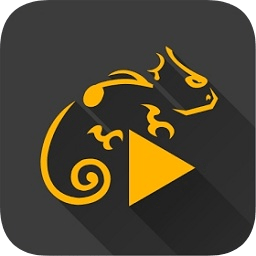蜥蜴播放器解鎖包正式版